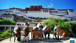 Music lights path for Xizang's first band composed of visually-impaired members