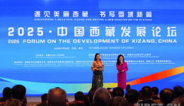 2025·中国西藏发展论坛在西藏林芝开幕