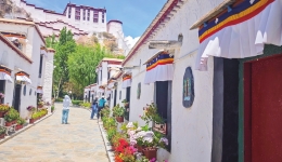 Centuries-old recipe of milk, honey maintains structural integrity of Potala Palace