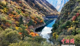 四川茂县松坪沟景区彩林如画美不胜收