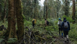 Scientific expedition deep into forest of Medog, Xizang