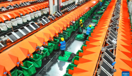 Economic Watch: 