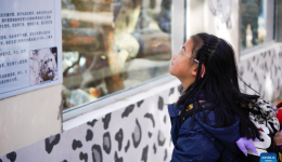 Leopard house at Xining Wildlife Park reopens after renovation