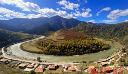 Protection efforts revive forest area in NW China's Qinghai