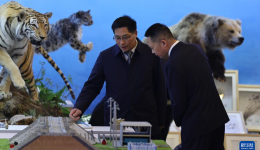 第二次青藏科考发布“十大应用成果”