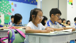 Feature: Myanmar students study Chinese language for better opportunities