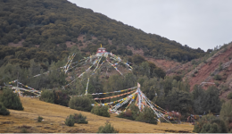 The Pastoral Scenery in Markam County, Xizang