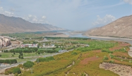 “绿进沙退”雅江展新颜
——牢固树立“两山”理念 打造生态文明高地系列报道