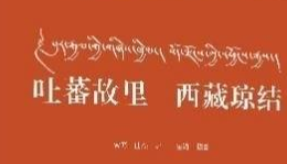 青瓦达孜千载月 犹照今人读故城——再读《吐蕃故里 西藏琼结》