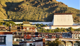 A Mongolian Tour Group: Journeying Thousands of Miles to Xizang for Pilgrimage