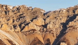 赴一场扎萨格的冬日之约，看雪落山间，风过林梢