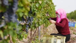 China's poverty alleviation achievements continuously consolidated, expanded in 2025