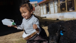 Ecological Code of the Snowy Plateau: Ecological migrants on Qinghai-Xizang Plateau chase happiness, nurture green harmony with nature