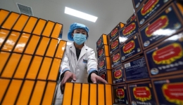 Traditional Tibetan medicine gains modern appeal