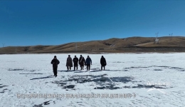 三江源 8 年寻豹：一群 “野牦牛” 般的守护者