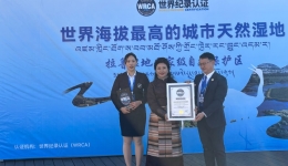 Lhasa wetland reserve recognized as world's highest altitude wetland