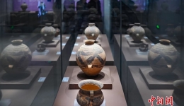 青海彩陶艺术文物展在南京展出