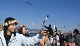 云南印发《“旅居云南”发展专项规划》 激活发展动能