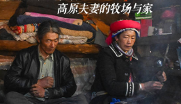 香格里拉尼汝村：高原夫妻的牧场与家