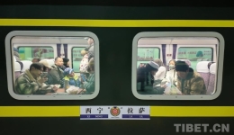 [Journey Along Qinghai-Xizang Railway] In Pics: Unforgettable Moments on the Journey