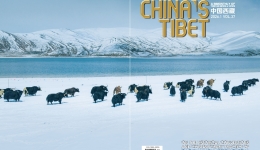 China's Tibet 2026.1 Released