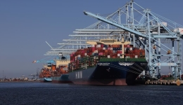 Roundup: U.S. major ports seek stability over court ruling against Trump's tariff policy