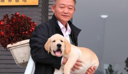 两个“大连好人王大爷”​西藏寻缘