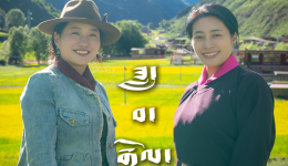 启米的朋友德格麦宿的达瓦卓玛