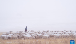 Snow scenery of China's Qinghai