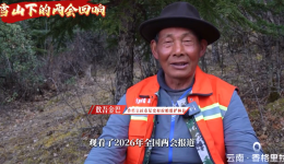 标题：雪山下的两会会响——护林员的坚守只为“山更绿 水更清”