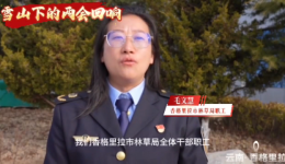 雪山下的两会会响——林草人用心守护天蓝山绿水清