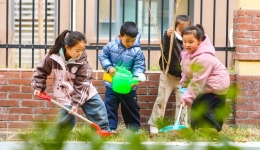 InPics | Tree planting activities held across China