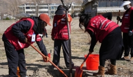 春风拂新绿 童心护家园——西藏多地开展植树节主题活动