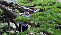 NPC deputies, CPPCC members highlight green as defining feature of a Beautiful China
