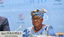 Global trade growth to slow in 2026 with further pressure from Middle East conflict: WTO