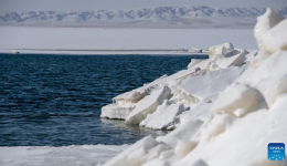View of Qinghai Lake in northwest China