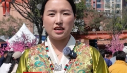 林芝·波密文旅融合特色游玩路线等你来体验