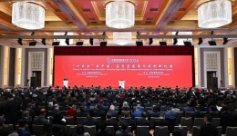 Foreign business leaders reaffirm confidence in China as source of certainty in turbulent world