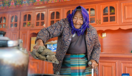 Pic story: new life of former serf in China's Xizang