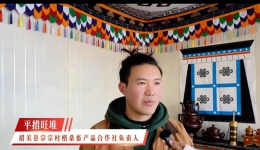 返乡青年平措旺堆：在“3·28”纪念日，用祖传酸奶续写高原新生