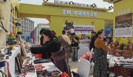 现场抽奖送500元大礼包！玉树“好物”组团亮相2026泰山好水CMG群众足球邀请赛