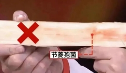 清明前后易出现！这种食物变质后“毒过蛇”，不要吃！