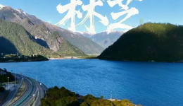 4月4日20：00林芝工布公园 “银发活力派”邀您共赴“桃花之约”