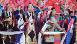 林芝市第二十三届桃花节“银发活力派”这么young