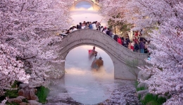Vibrant spring drives expansion in China's cultural, tourism market