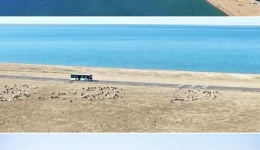 དྭངས་གསལ་གུང་གསེང་གི་ཉིན་དང་པོར་མཚོ་སྔོན་པོའི་མཛེས་ལྗོངས་ཁུལ་གྱིས་ཡུལ་སྐོར་བ་མི་ཐེངས6000ལྷག་ཙམ་ལ་སྣེ་ལེན་བྱས་པ།