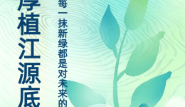【感恩奋进 守护江源】玉树有多“绿”？一组数据告诉你