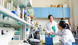Food microbial technology researcher awarded May Day national labor medal