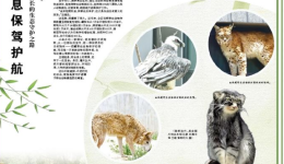 为野生动物栖息保驾护航——一位高原动物保护园园长的生态守护之路
