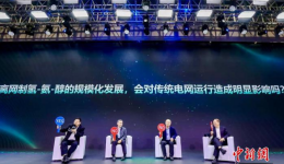 专家：中国新能源装机规模居全球首位 正从补充能源迈向主体能源